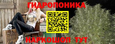 СК Бузулук